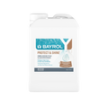 BAYROL Protect & Shine
