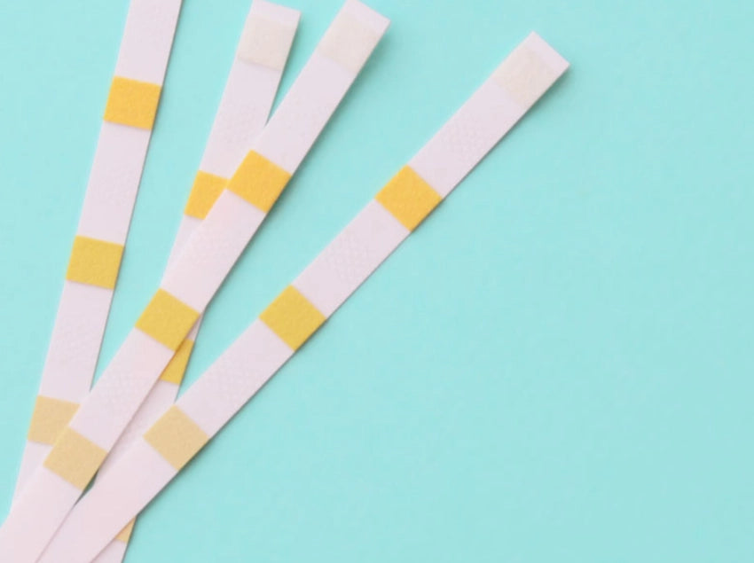 BAYROL Quicktest 5 in 1 pH/Chlor/Brom/TAC/Algizid